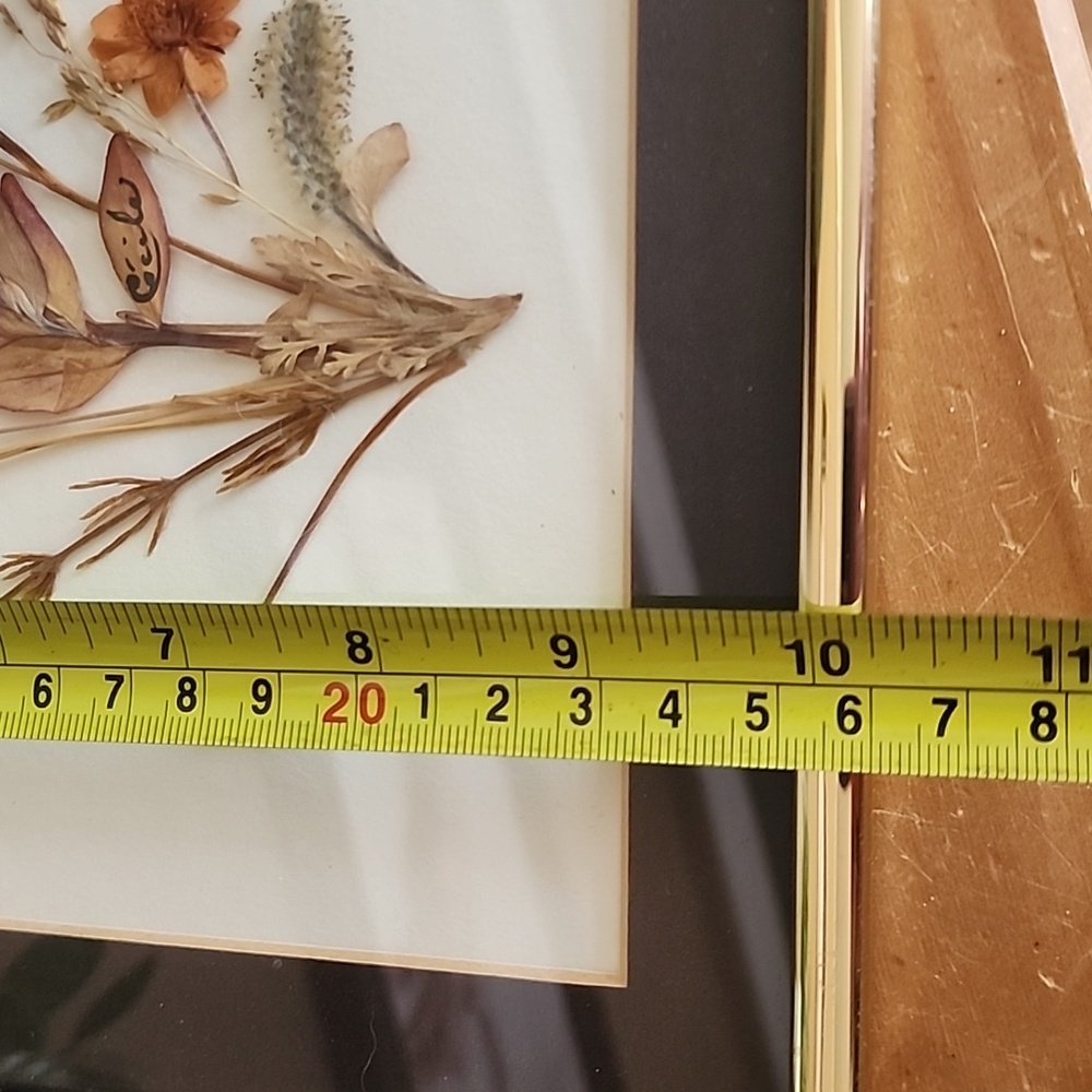 Vintage Pressed Dried Arctic Flowers Gold Framed Floral Art - Picture 8 of 11
